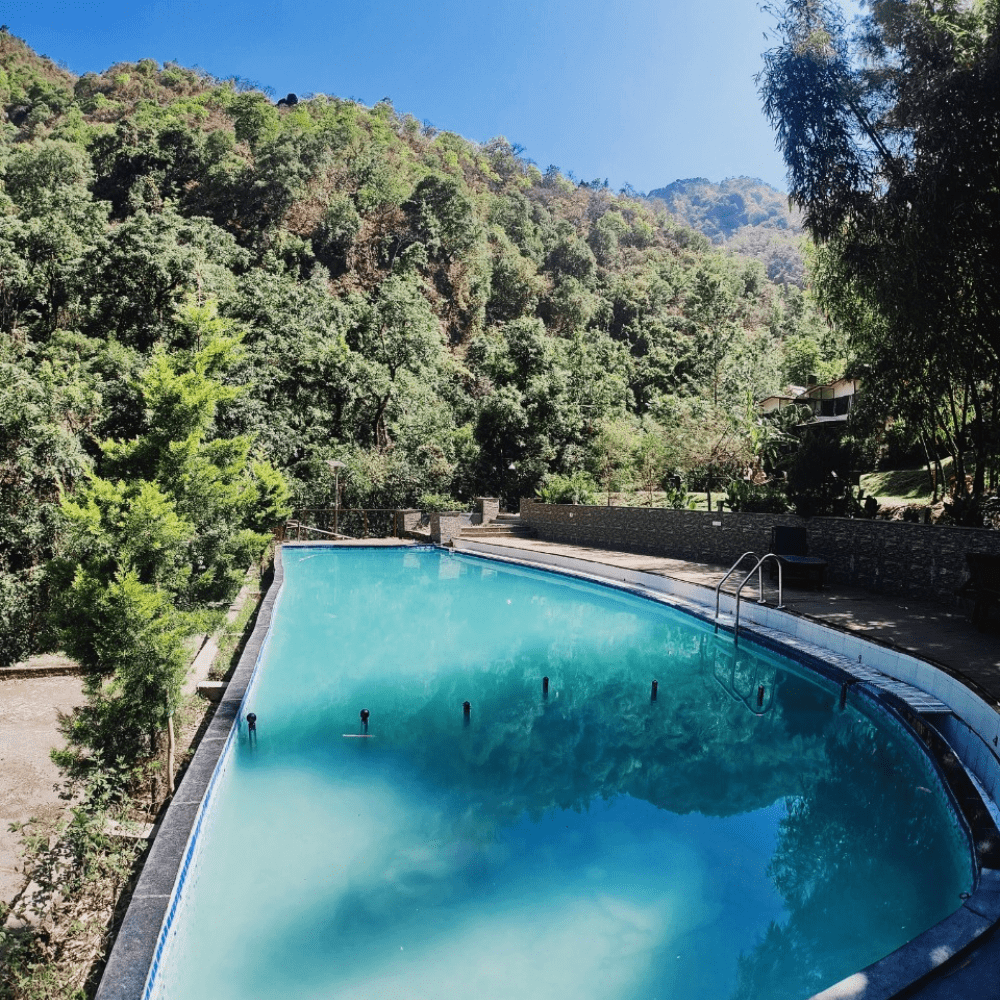 Wellness Journey In Dehradun