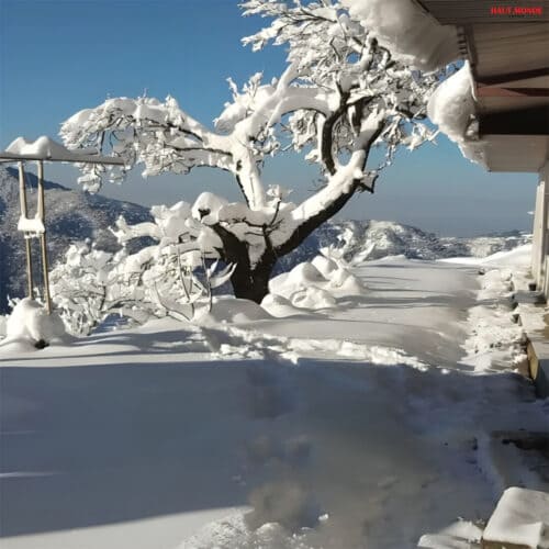 winter hills kangtal